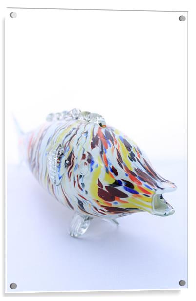 Glass Fish Acrylic by Adrian Wilkins