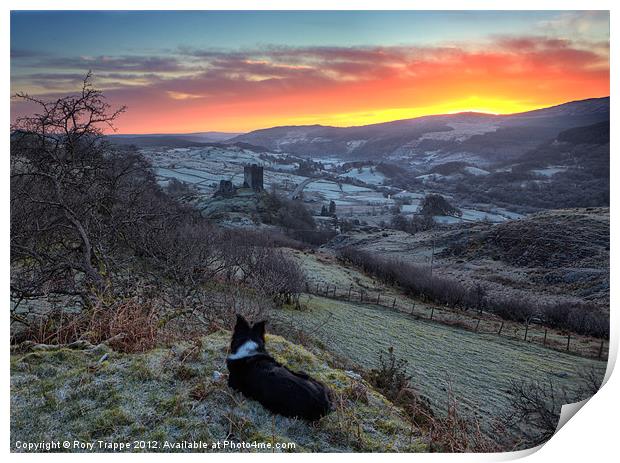 Enjoying the view Print by Rory Trappe