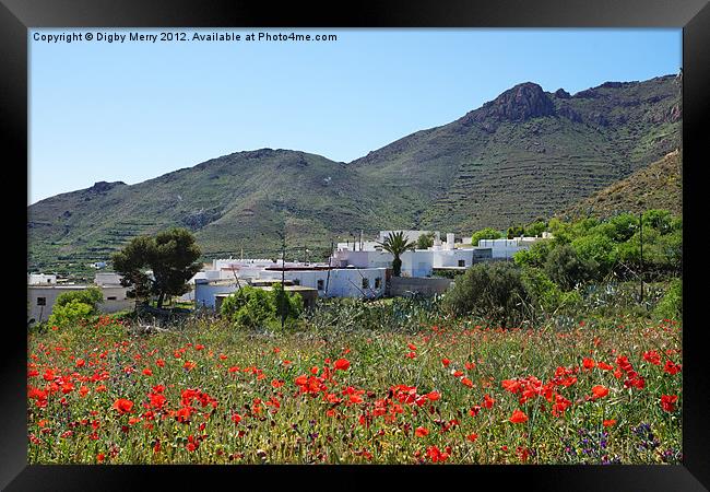 Village with poppies Framed Print by Digby Merry