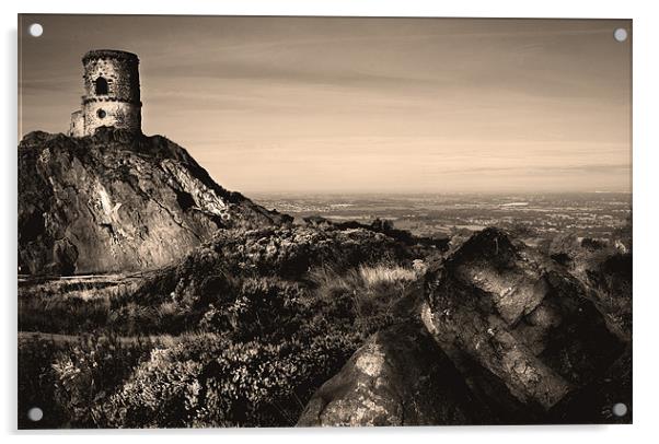 Cheshire Plains from Mow Cop Acrylic by Wayne Molyneux