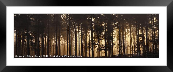 Woodland Sunrise Panorama Framed Mounted Print by Ann Garrett