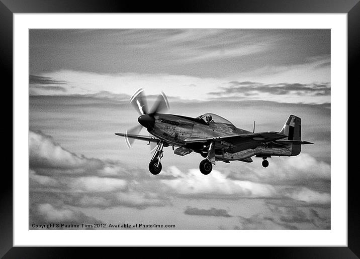Mustang P 51D Framed Mounted Print by Pauline Tims