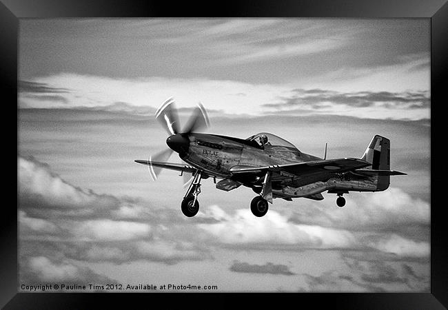 Mustang P 51D Framed Print by Pauline Tims