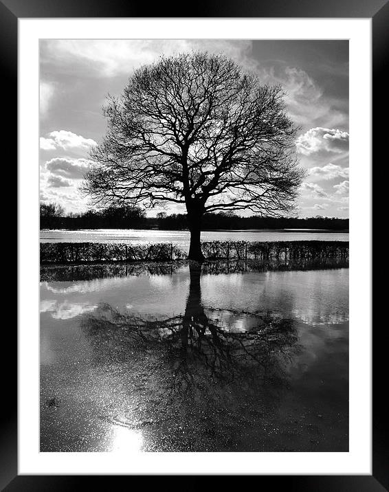 Tree In Floods Framed Mounted Print by Clive Eariss