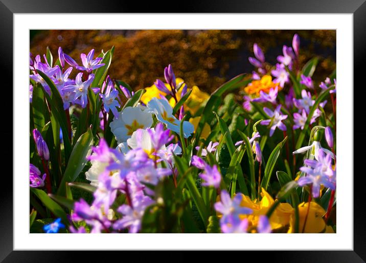 Spring is here Framed Mounted Print by Paul Oakes