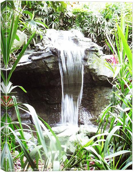 Small waterfall Canvas Print by Mandy Rice