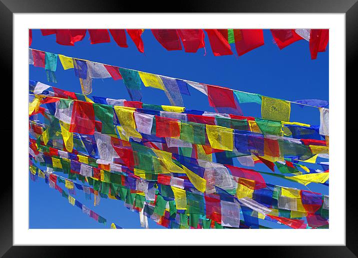 Prayer Flags on a Stupa Framed Mounted Print by Jacqi Elmslie