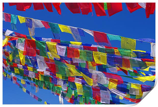 Prayer Flags on a Stupa Print by Jacqi Elmslie