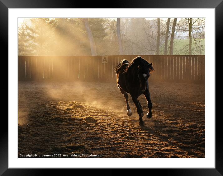 horse stretching its legs Framed Mounted Print by Jo Beerens