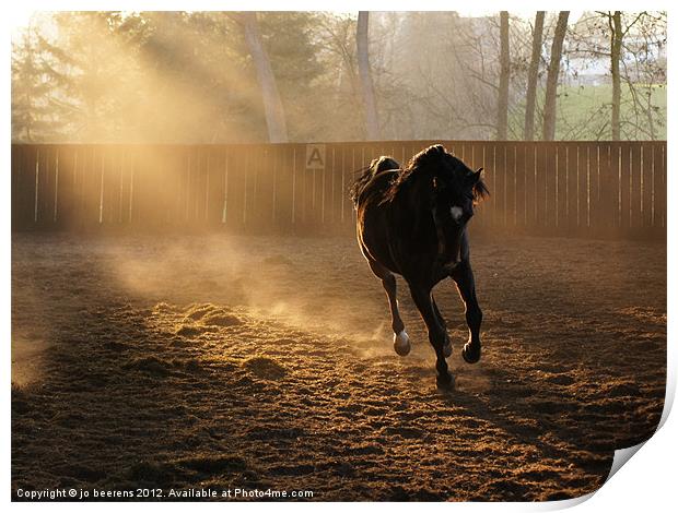 horse stretching its legs Print by Jo Beerens