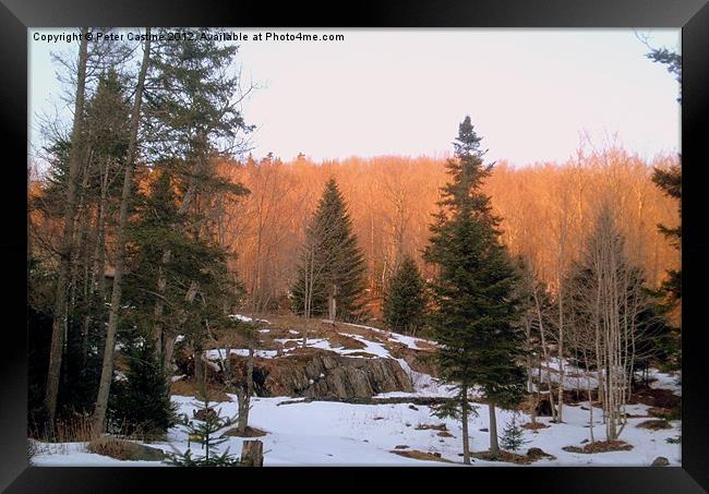 March Sundown Framed Print by Peter Castine