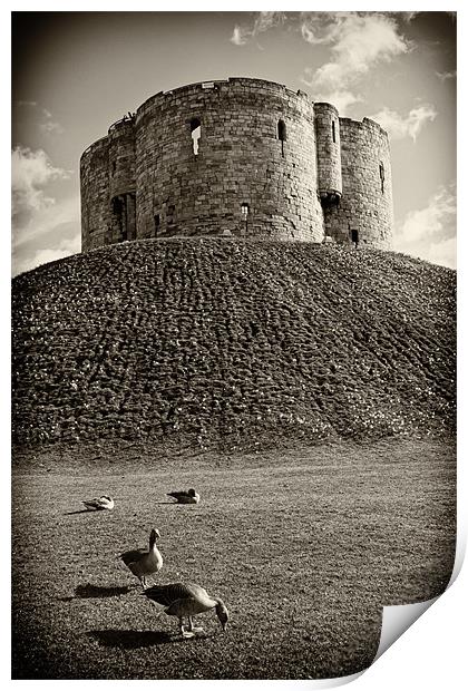 York Castle Print by Northeast Images