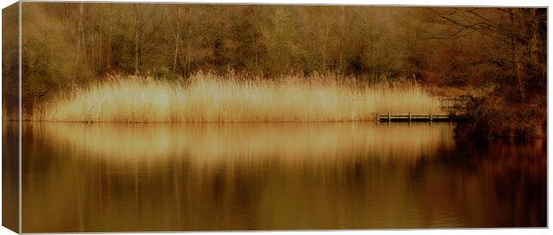 Dreamy Reeds Canvas Print by Louise Godwin