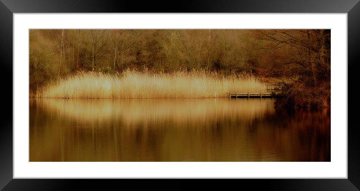 Dreamy Reeds Framed Mounted Print by Louise Godwin