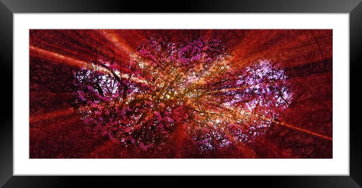 Cherryade. Framed Mounted Print by Heather Goodwin