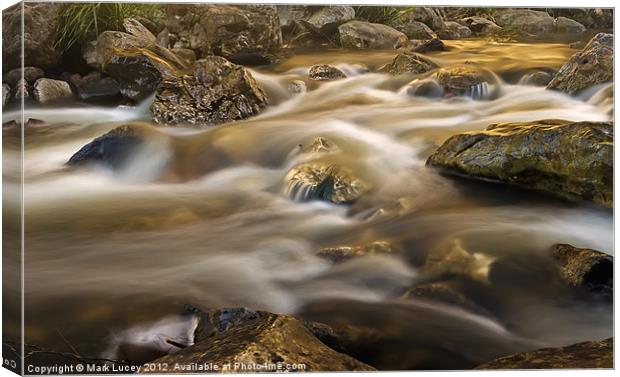 Flow of the Shadow Canvas Print by Mark Lucey