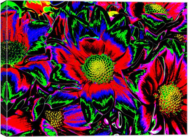 Psychedelic Flowers 02 Canvas Print by Rick Parrott