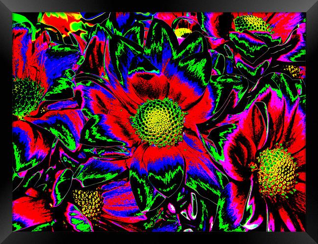 Psychedelic Flowers 02 Framed Print by Rick Parrott