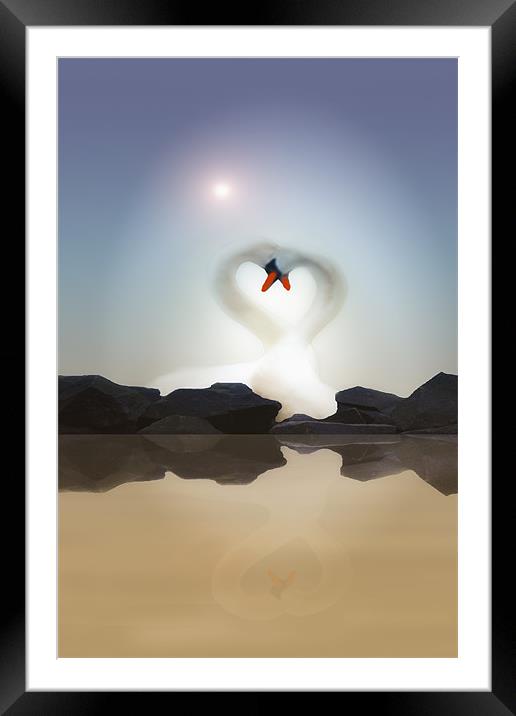 LOVE ON THE ROCKS 2 Framed Mounted Print by Tom York
