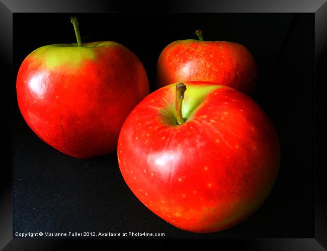 Three Apples Framed Print by Marianne Fuller