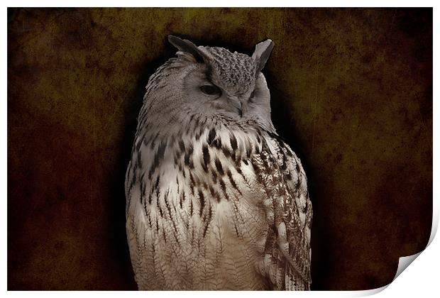 eagle owl Print by Dean Messenger