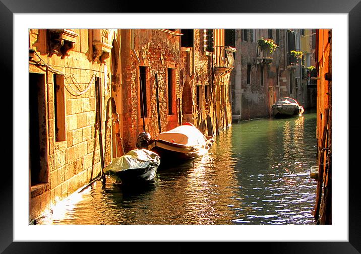 Canal in Venice Framed Mounted Print by barbara walsh