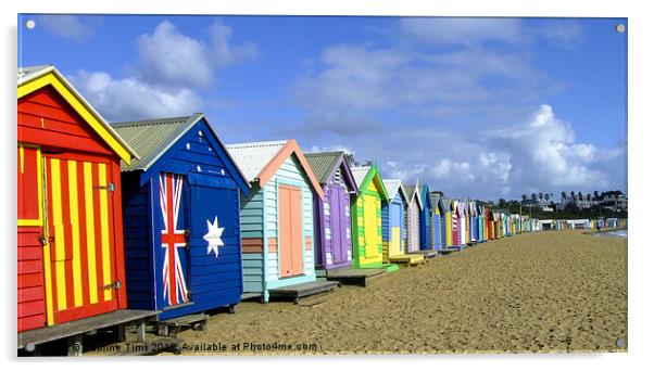 Beach Huts at Brighton Acrylic by Pauline Tims