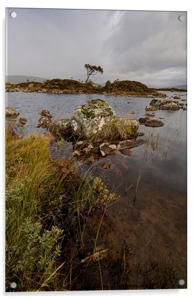 Rannoch Moor Acrylic by James Mc Quarrie