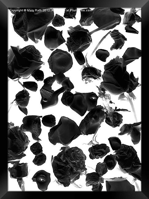 Infrared Flowers #2 Framed Print by Mary Rath
