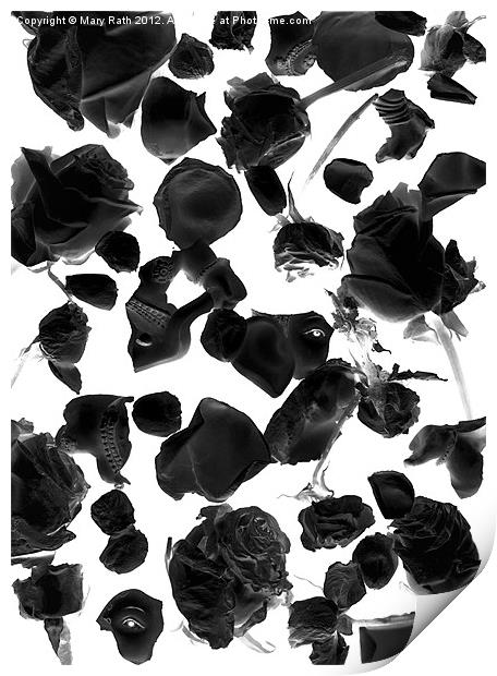 Infrared Flowers #2 Print by Mary Rath