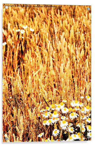 Flowers of the fields Acrylic by Jill Bain