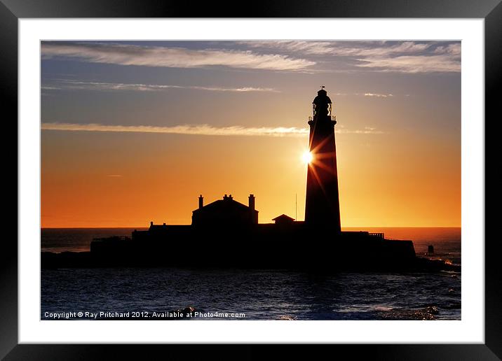St Marys Lighthouse Framed Mounted Print by Ray Pritchard