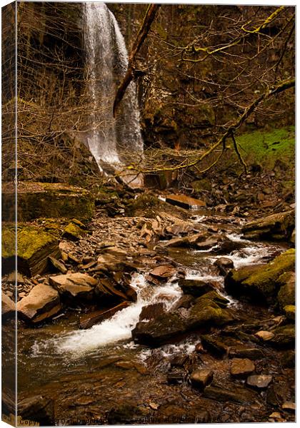 Melincourt Waterfall Wales Canvas Print by Dan Davidson