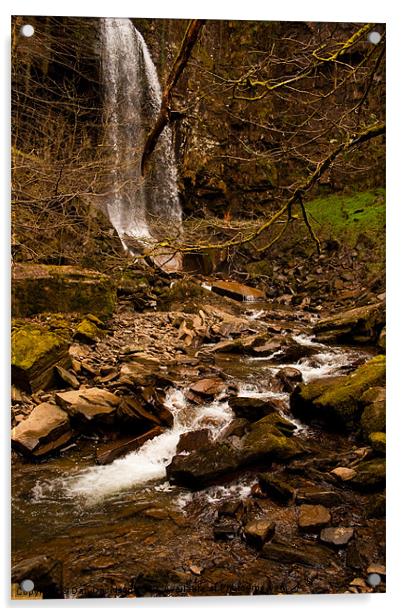 Melincourt Waterfall Wales Acrylic by Dan Davidson