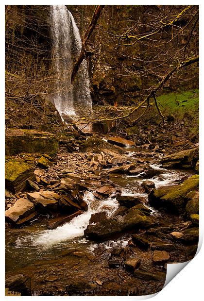 Melincourt Waterfall Wales Print by Dan Davidson