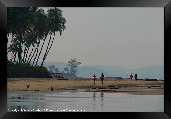 Along the Palm Lined Beach North Goa, India Framed Print by Serena Bowles
