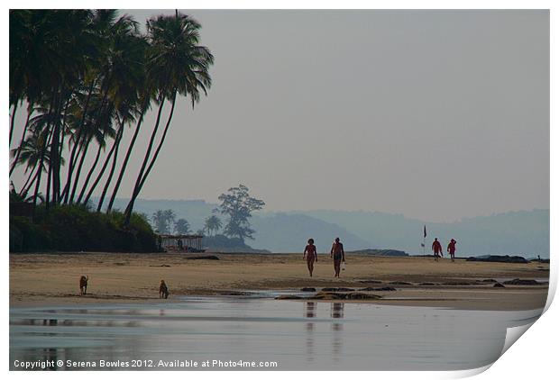 Along the Palm Lined Beach North Goa, India Print by Serena Bowles