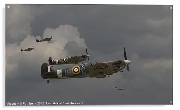 Spitfires - 'Buster' Acrylic by Pat Speirs