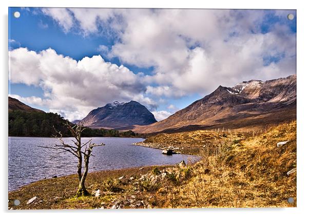 Liathach and Beinne Eighe From Loch Clair Acrylic by Jacqi Elmslie