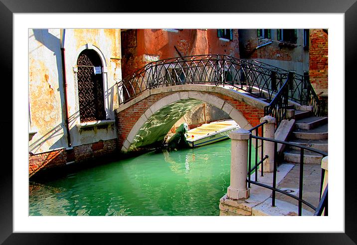Bridge in Venice Framed Mounted Print by barbara walsh