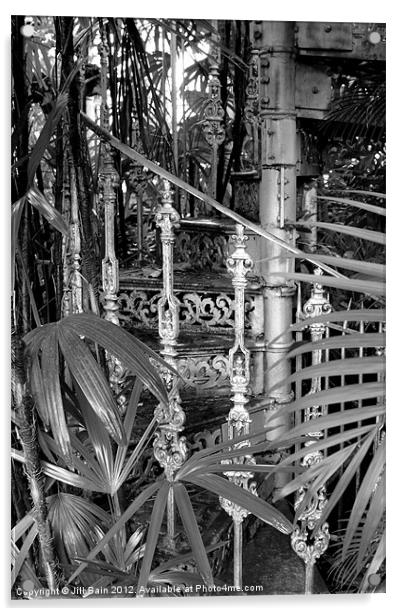 Jungle stairs Acrylic by Jill Bain