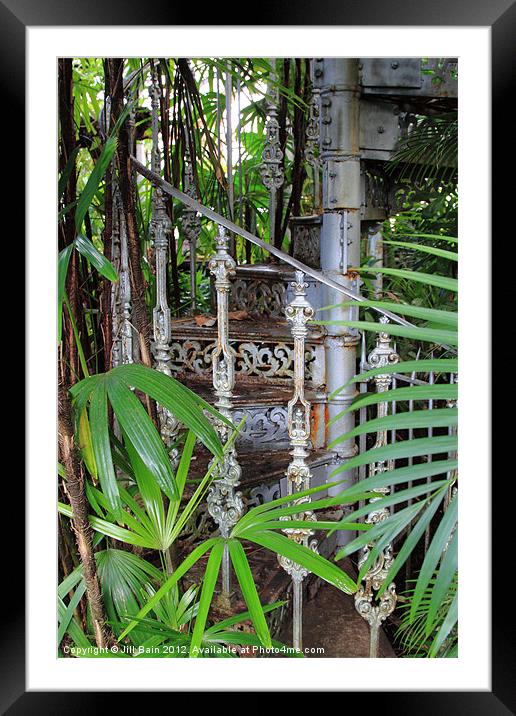 Jungle stairs Framed Mounted Print by Jill Bain
