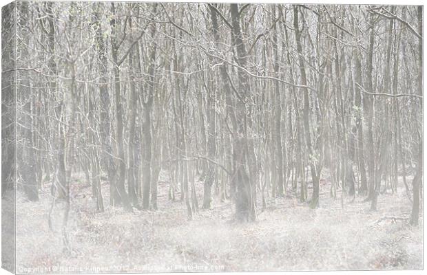 Trees in the Mist Canvas Print by Natalie Kinnear
