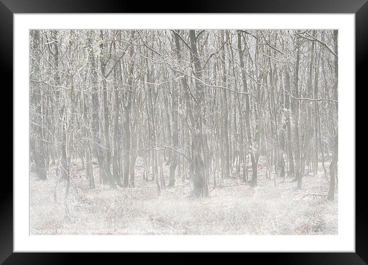Trees in the Mist Framed Mounted Print by Natalie Kinnear