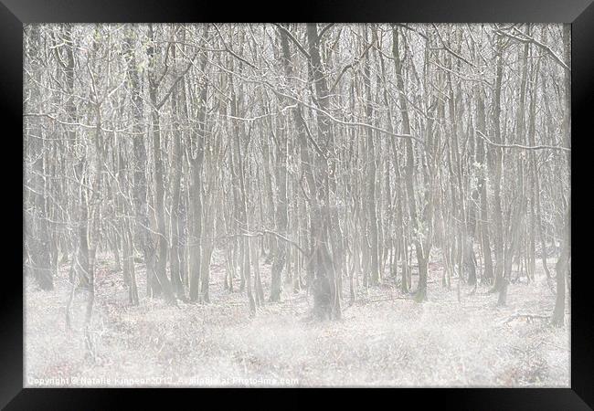 Trees in the Mist Framed Print by Natalie Kinnear