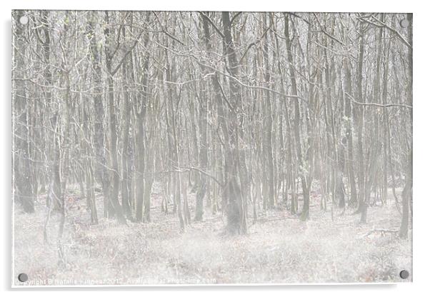 Trees in the Mist Acrylic by Natalie Kinnear