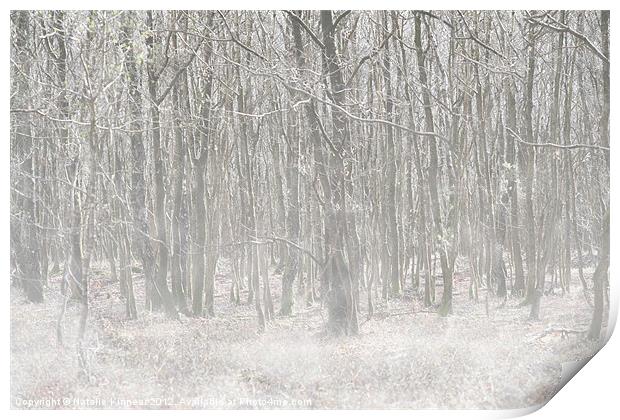 Trees in the Mist Print by Natalie Kinnear