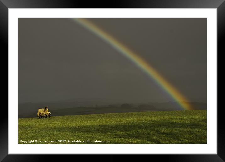 Feeding Lambs Under A Rainbow Framed Mounted Print by James Lavott