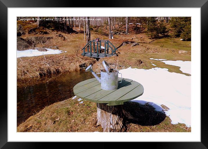 backyard pond Framed Mounted Print by Peter Castine