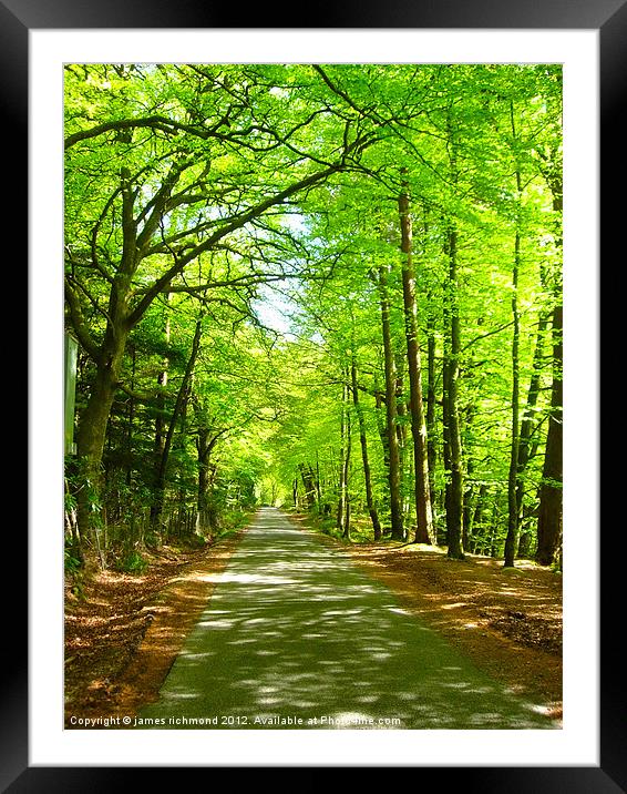 NA The Long Leafy Lane Framed Mounted Print by james richmond